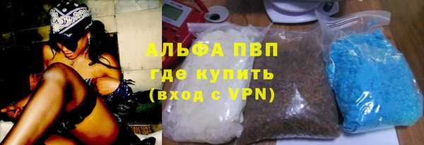 a pvp Аркадак