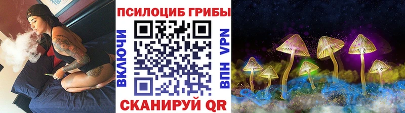 ссылка на мегу маркетплейс  дарк нет как зайти  Псилоцибиновые грибы Psilocybe  Соль-Илецк 