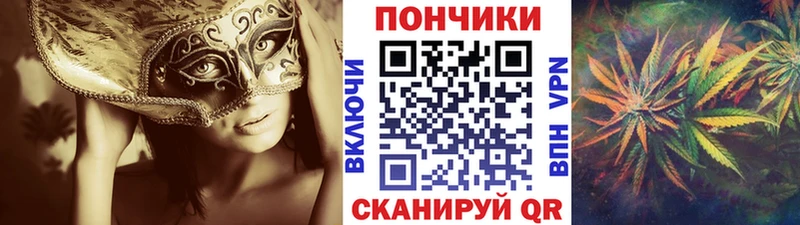 блэк спрут зеркало  Соль-Илецк  Каннабис семена  цена наркотик 
